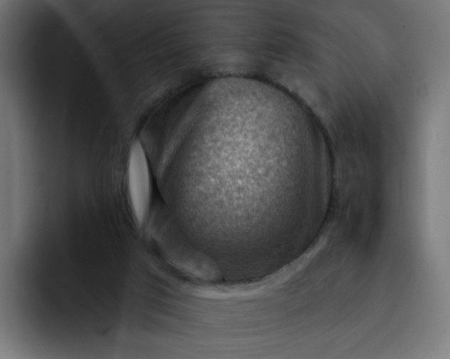 X0000093260017200710101507