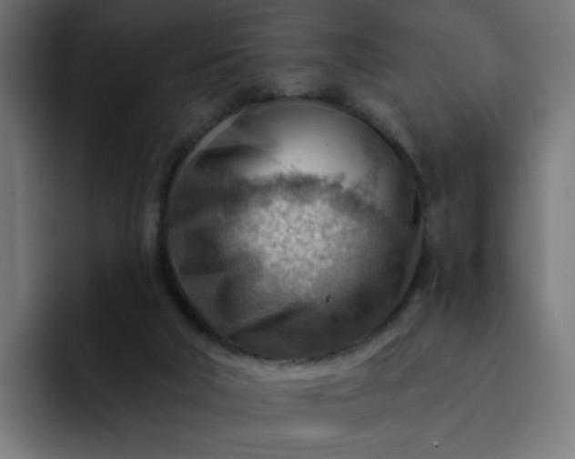 X0000093260018200710101507