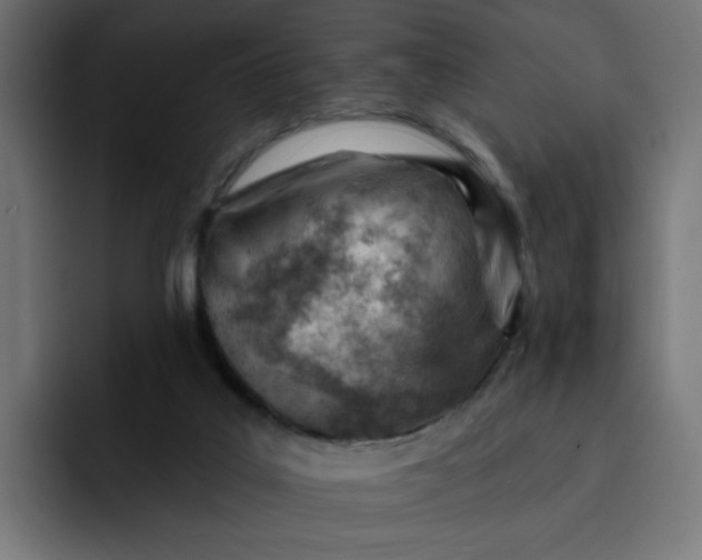 X0000093260019200710101507