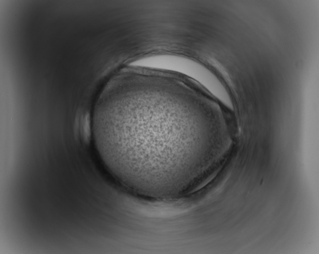 X0000093260020200710101507