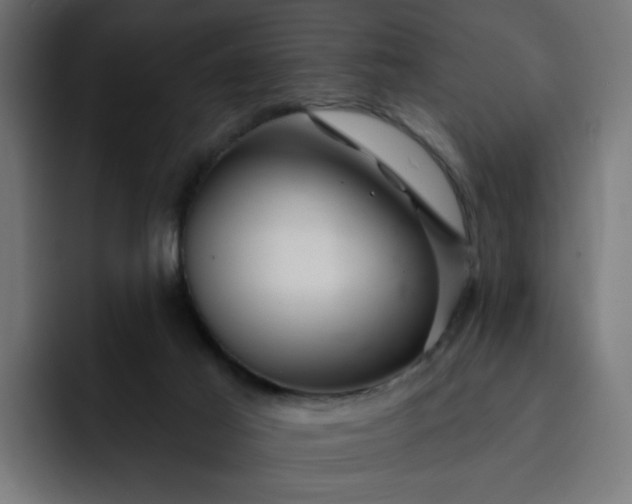 X0000093260021200710101507