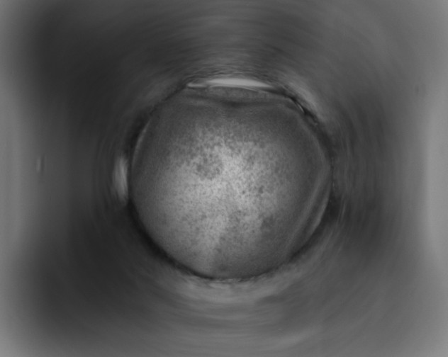 X0000093260022200710101507