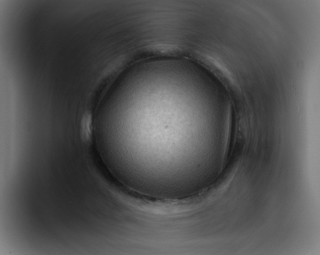 X0000093260024200710101507