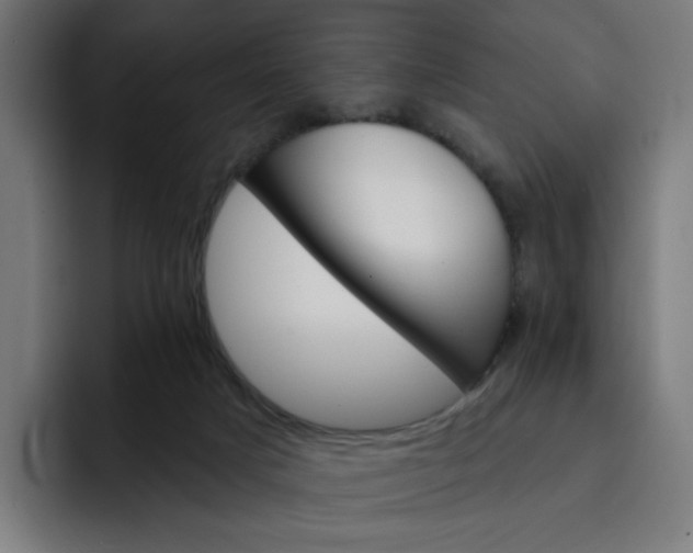 X0000093260025200710101507