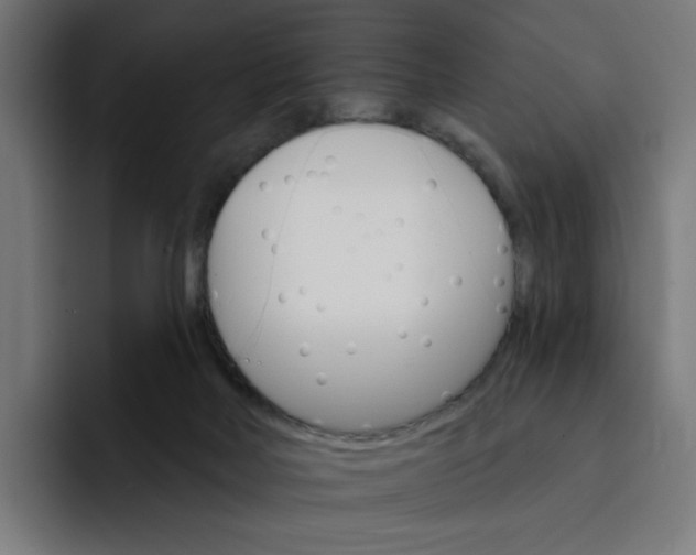 X0000093260026200710101507