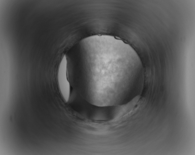 X0000093260029200710101507