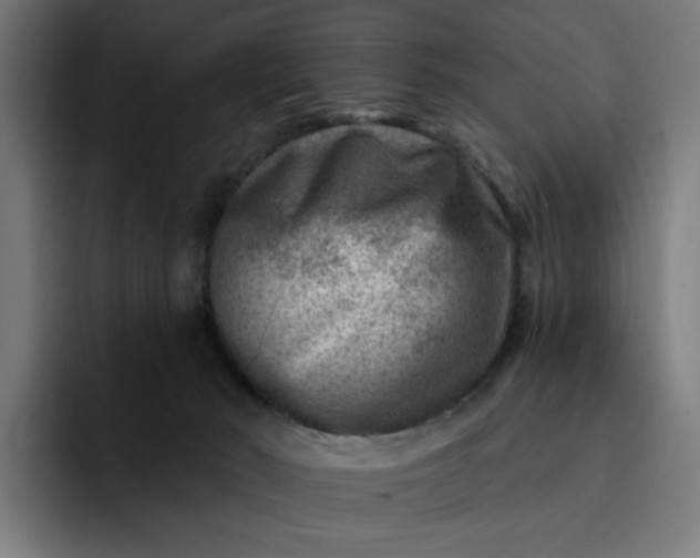 X0000093260030200710101507