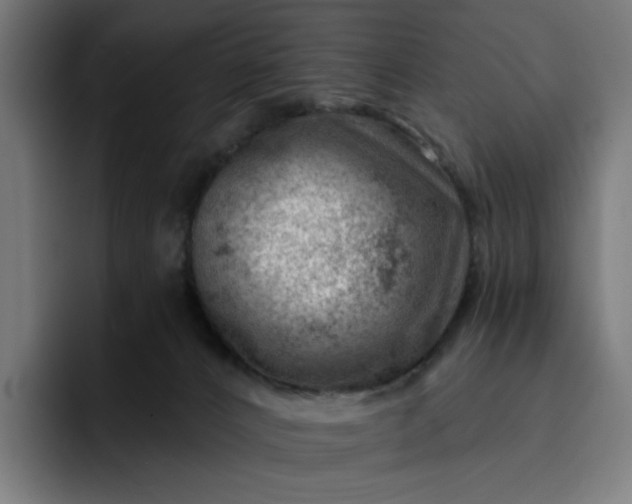 X0000093260032200710101507