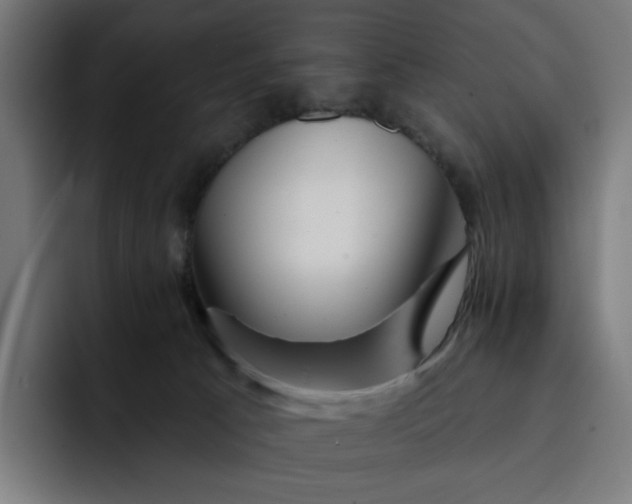 X0000093260033200710101507