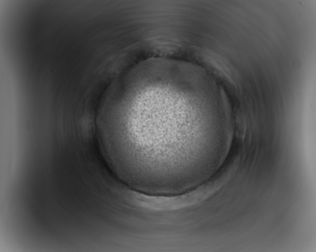 X0000093260034200710101507