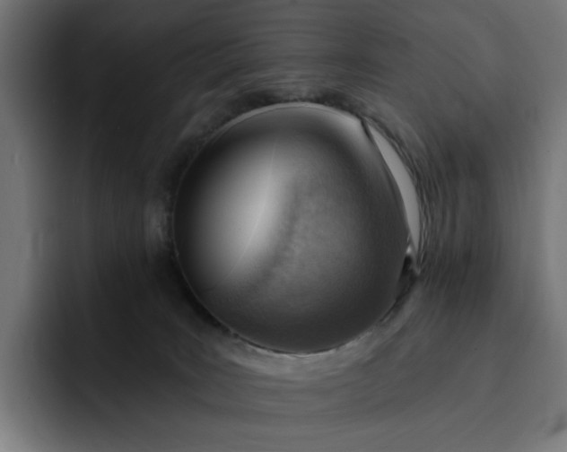 X0000093260035200710101507