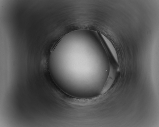 X0000093260037200710101507