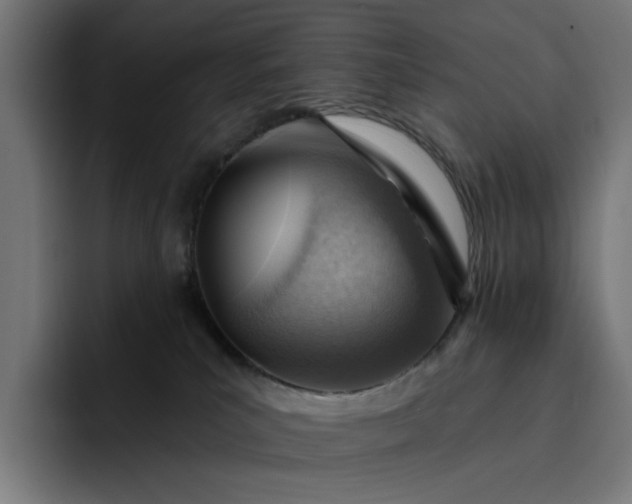 X0000093260039200710101507