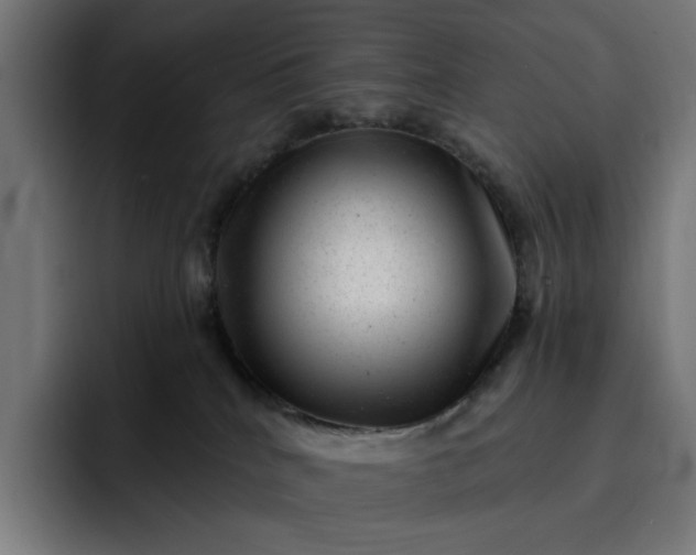 X0000093260040200710101507