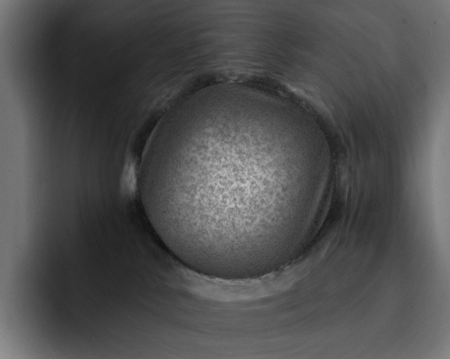 X0000093260042200710101507