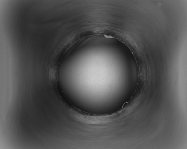 X0000093260044200710101507