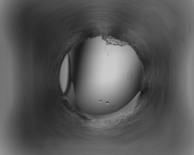 X0000093260045200710101507