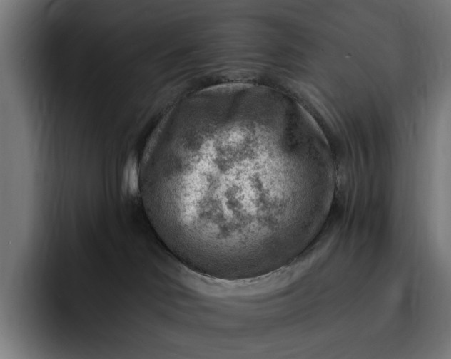 X0000093260046200710101507