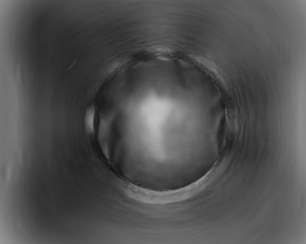 X0000093260047200710101507