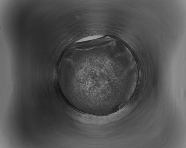 X0000093260048200710101507