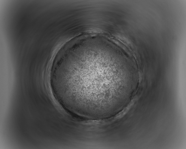 X0000093260049200710101506