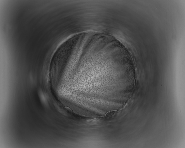 X0000093260050200710101506