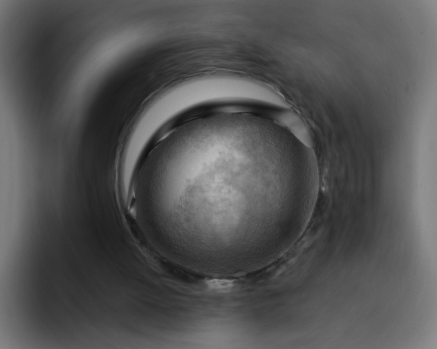 X0000093260052200710101506