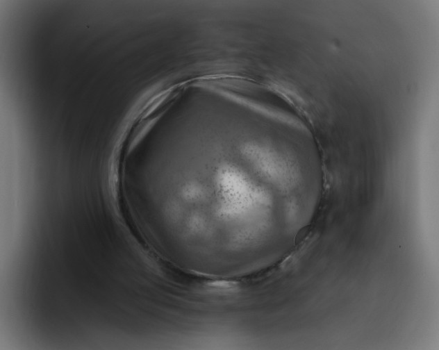 X0000093260053200710101506