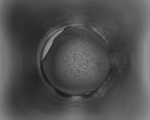 X0000093260055200710101506