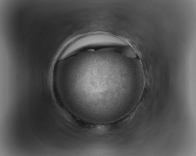 X0000093260056200710101506