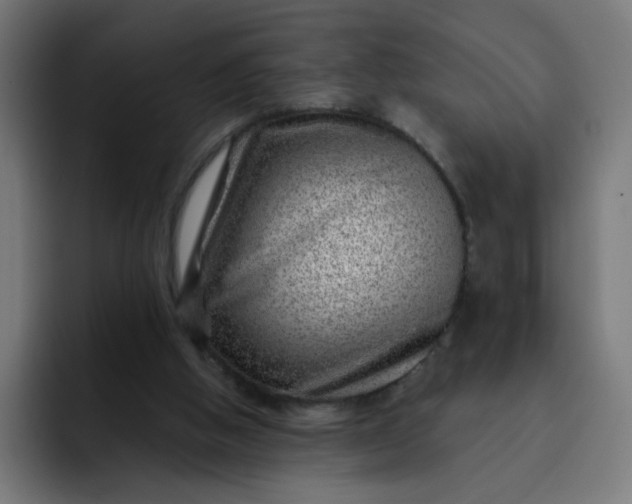 X0000093260058200710101506