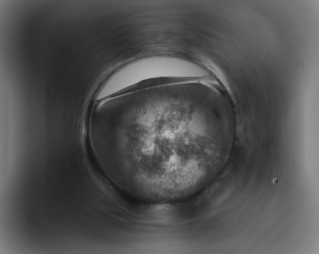 X0000093260059200710101506