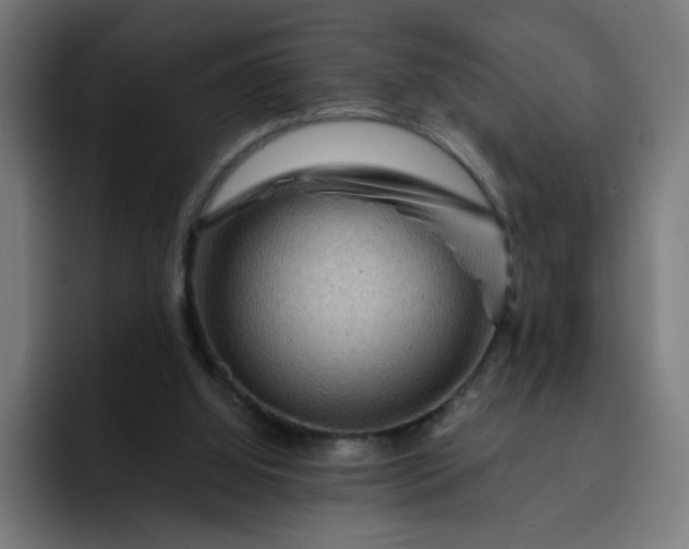 X0000093260060200710101506