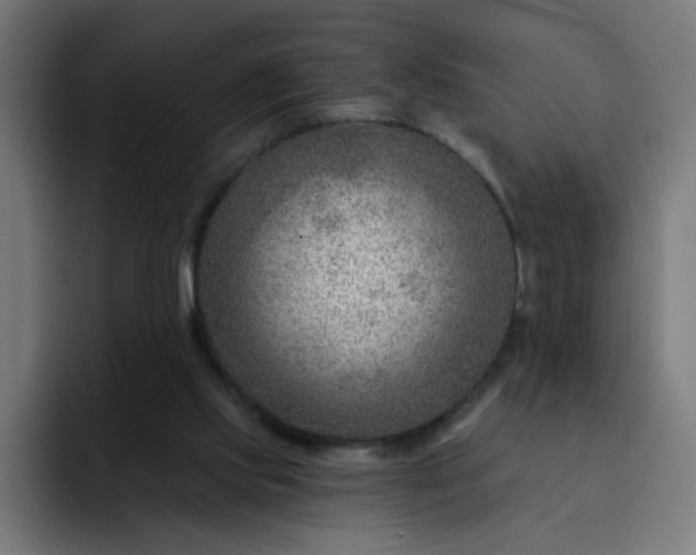 X0000093260061200710101506