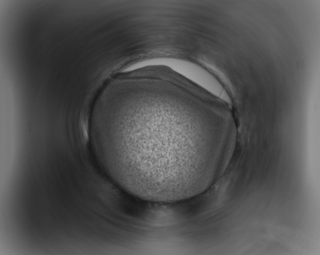 X0000093260062200710101506