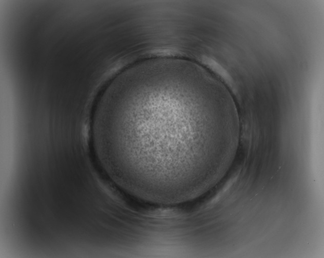 X0000093260063200710101506