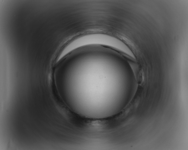 X0000093260064200710101506