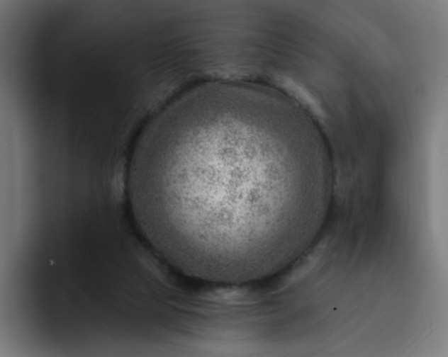 X0000093260065200710101506