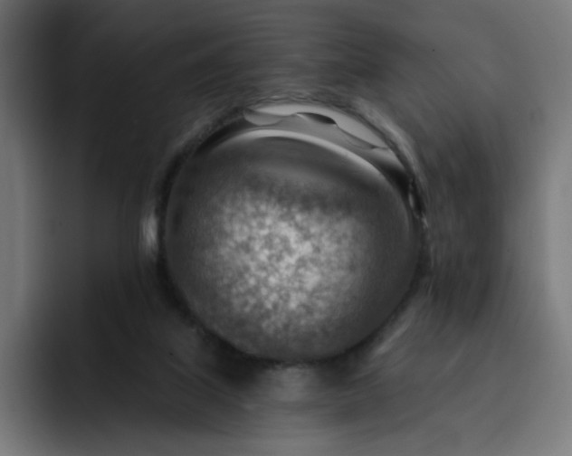 X0000093260067200710101506