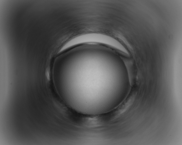 X0000093260068200710101506