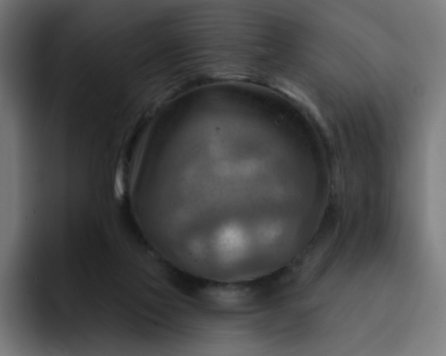 X0000093260069200710101506