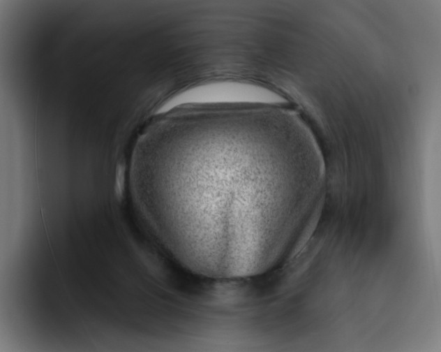 X0000093260070200710101506