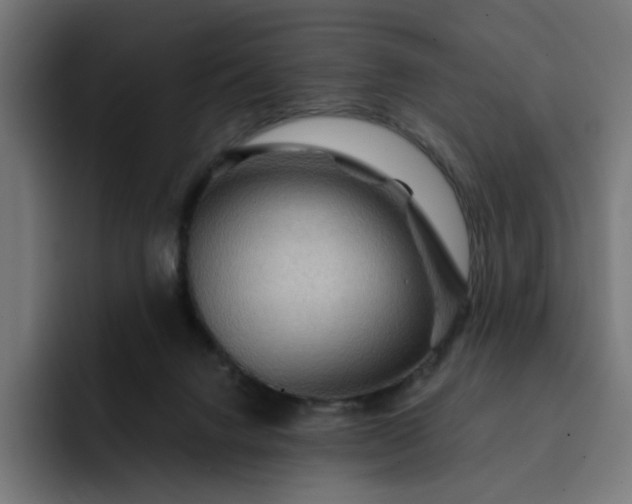 X0000093260072200710101506