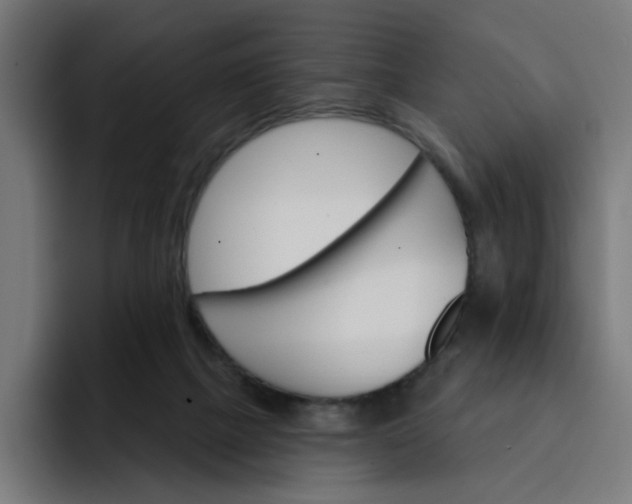 X0000093260073200710101506