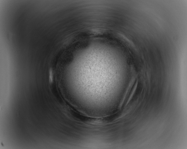 X0000093260075200710101506