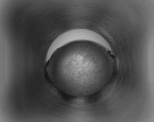 X0000093260076200710101506