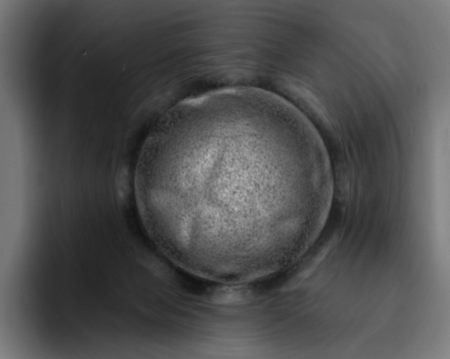 X0000093260077200710101506