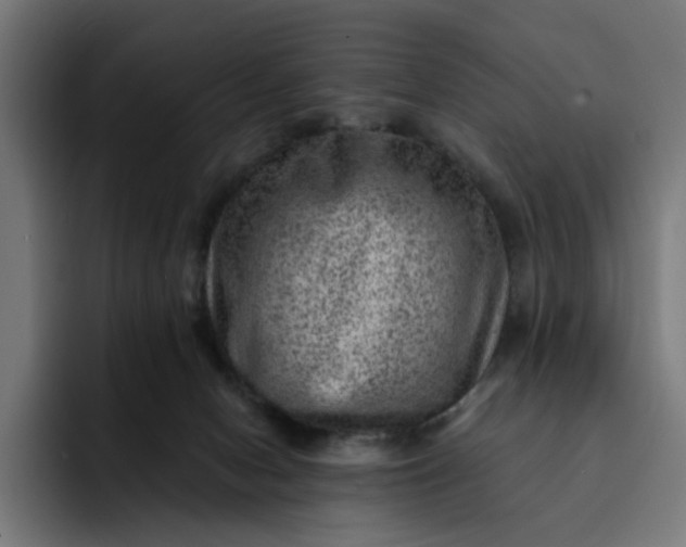 X0000093260078200710101506