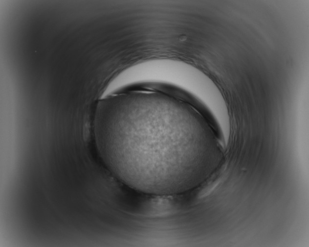 X0000093260080200710101507