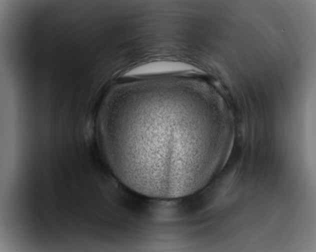 X0000093260081200710101507